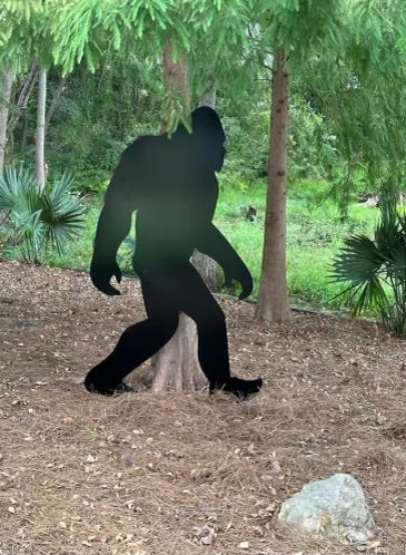 Big Foot- Choose your size and color.