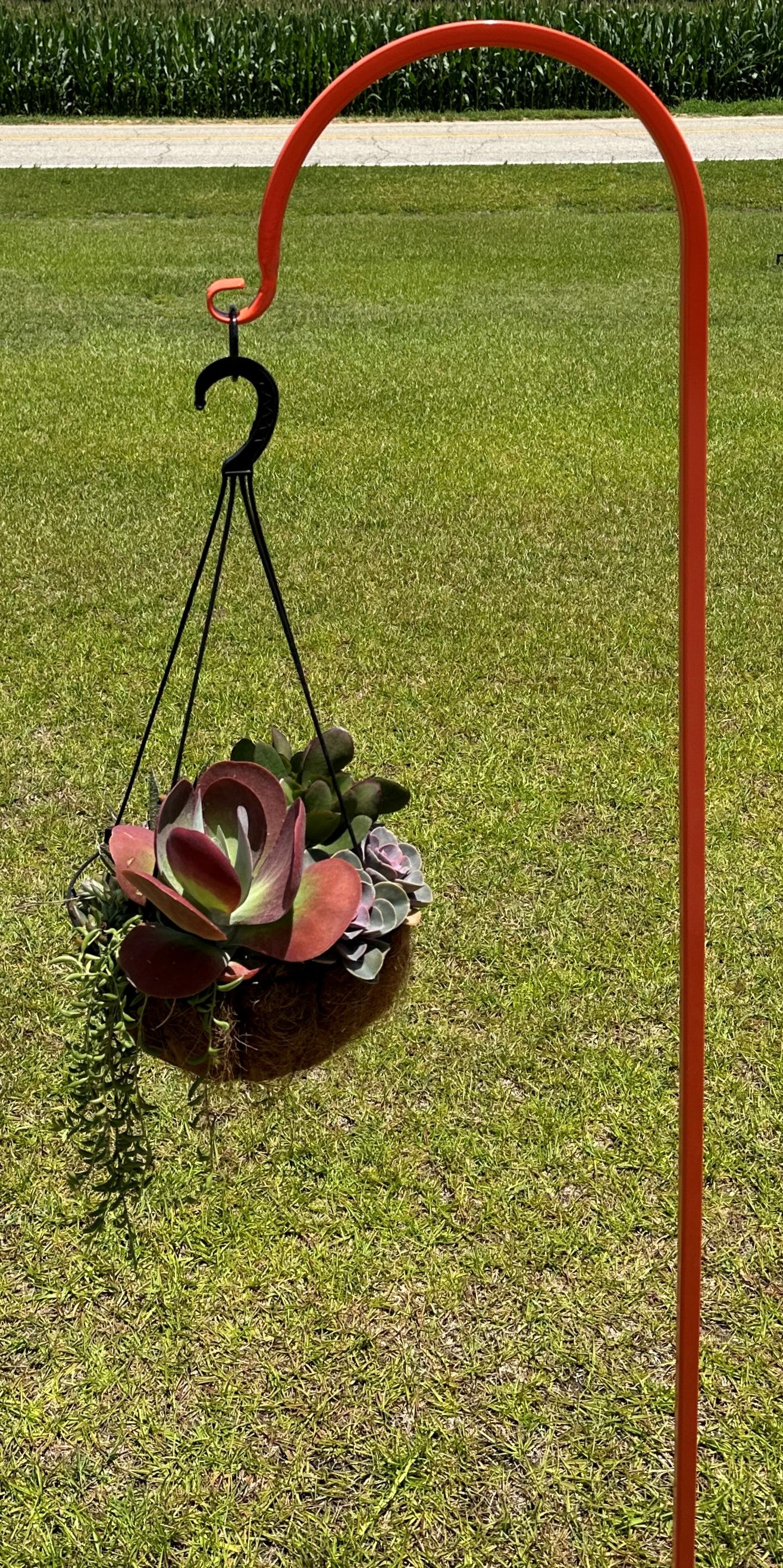 Shepherd Hook Metal Very Sturdy- Your color choice-Four display options