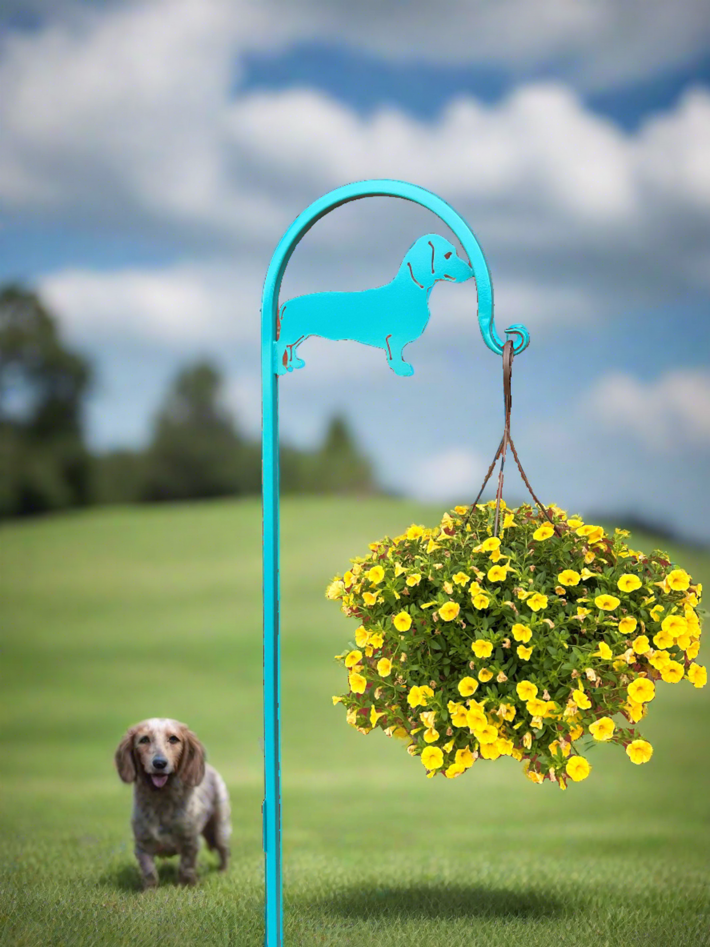 Dachshund Shepherd Hook- Your Color Choice (Powder Coated Finish- Choose from Four Display Options- With or without Name/Text