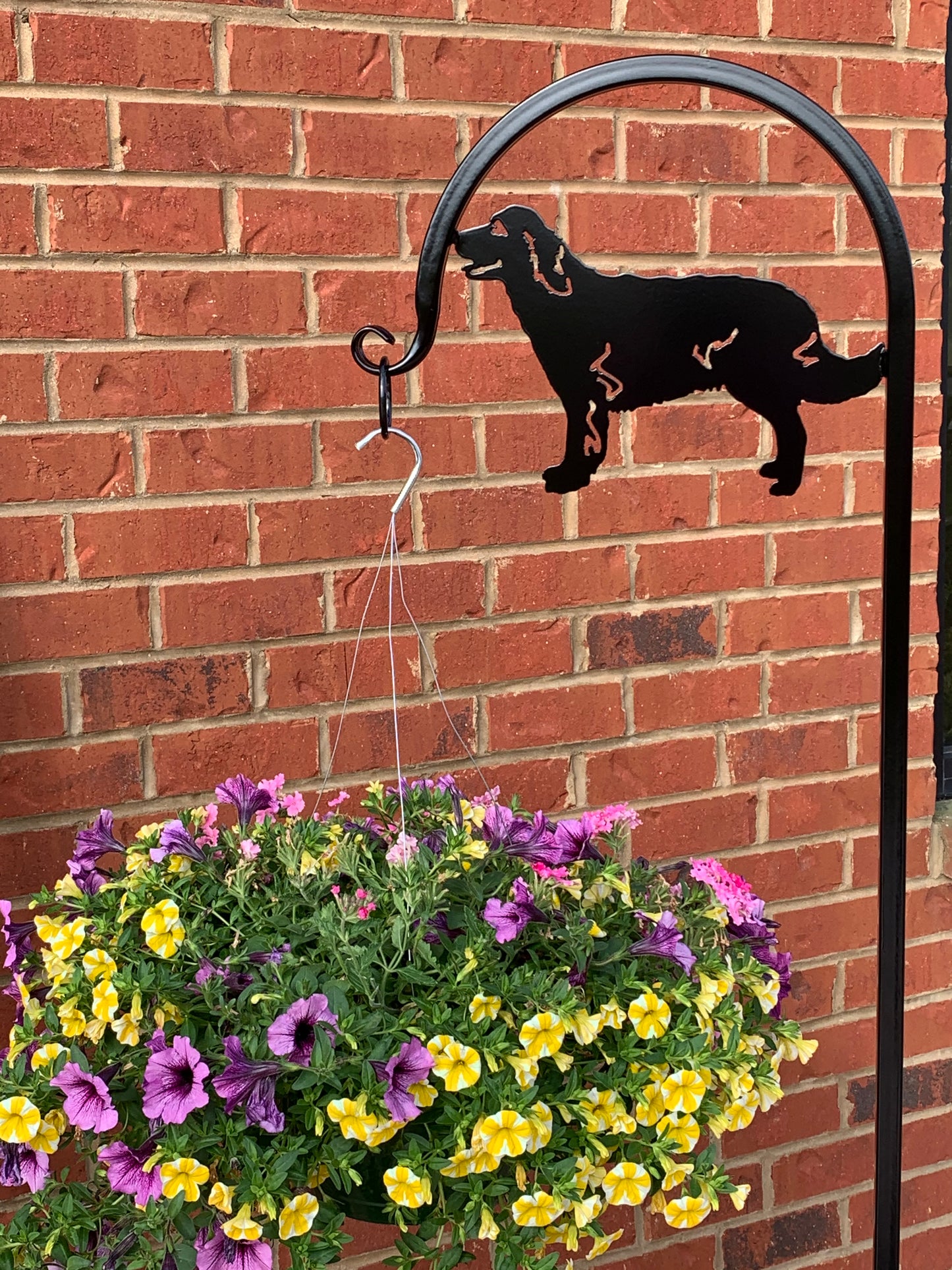 Golden Retriever Shepherd Hook- Your Color Choice-Four Display Options