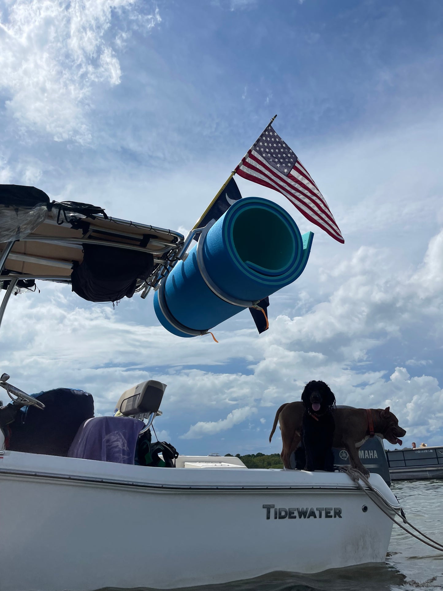 Floating Water Mat/Pad Storage/Carry Rack for Center Console Boats-Your Color Choice