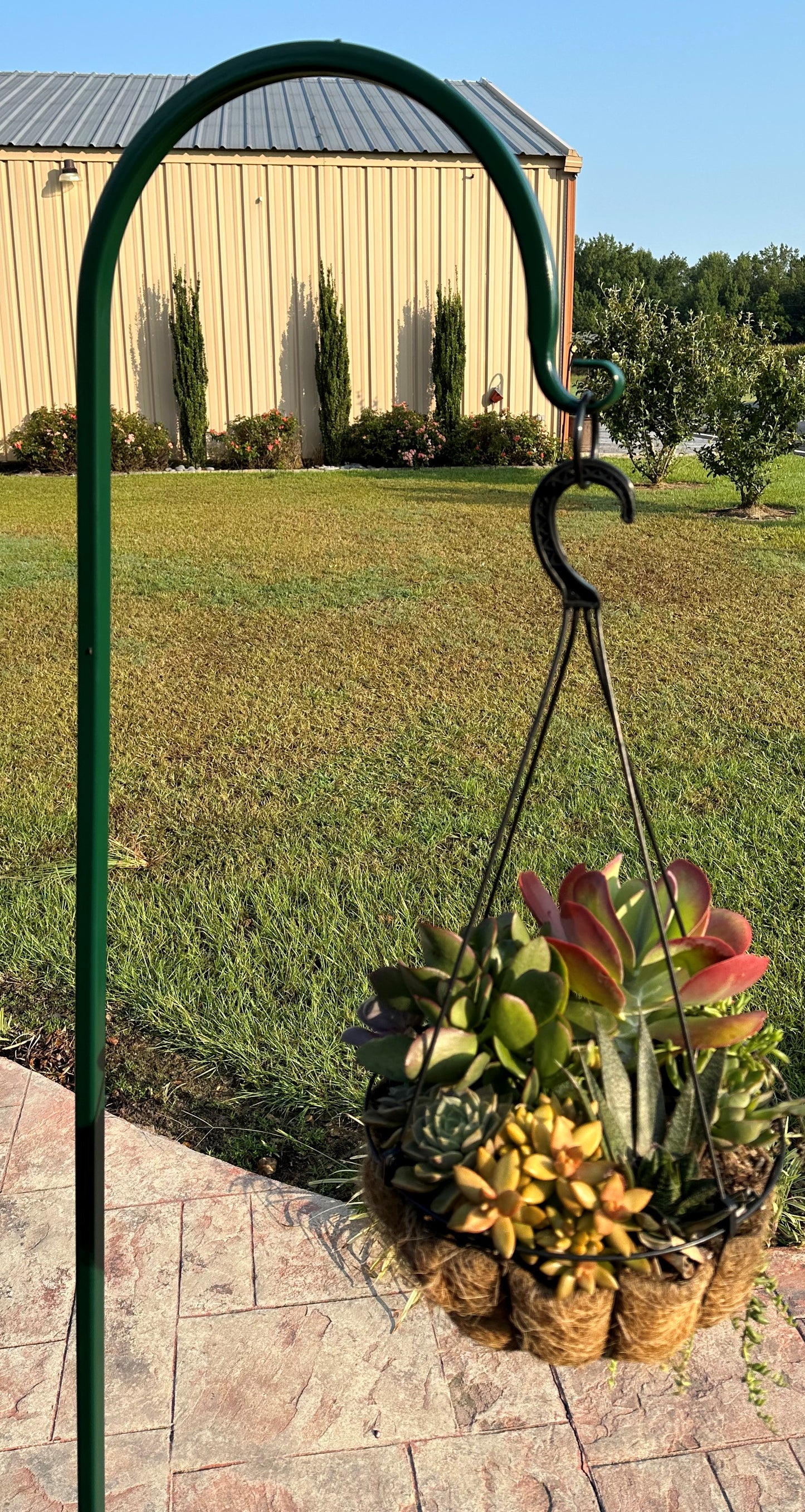 Shepherd Hook Metal Very Sturdy- Your color choice-Four display options