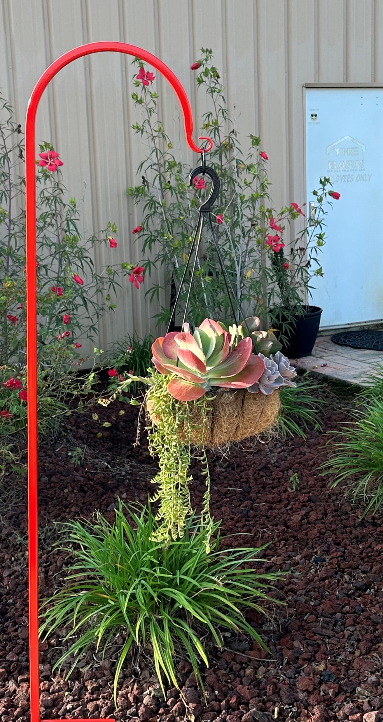 Shepherd Hook Metal Very Sturdy- Your color choice-Four display options
