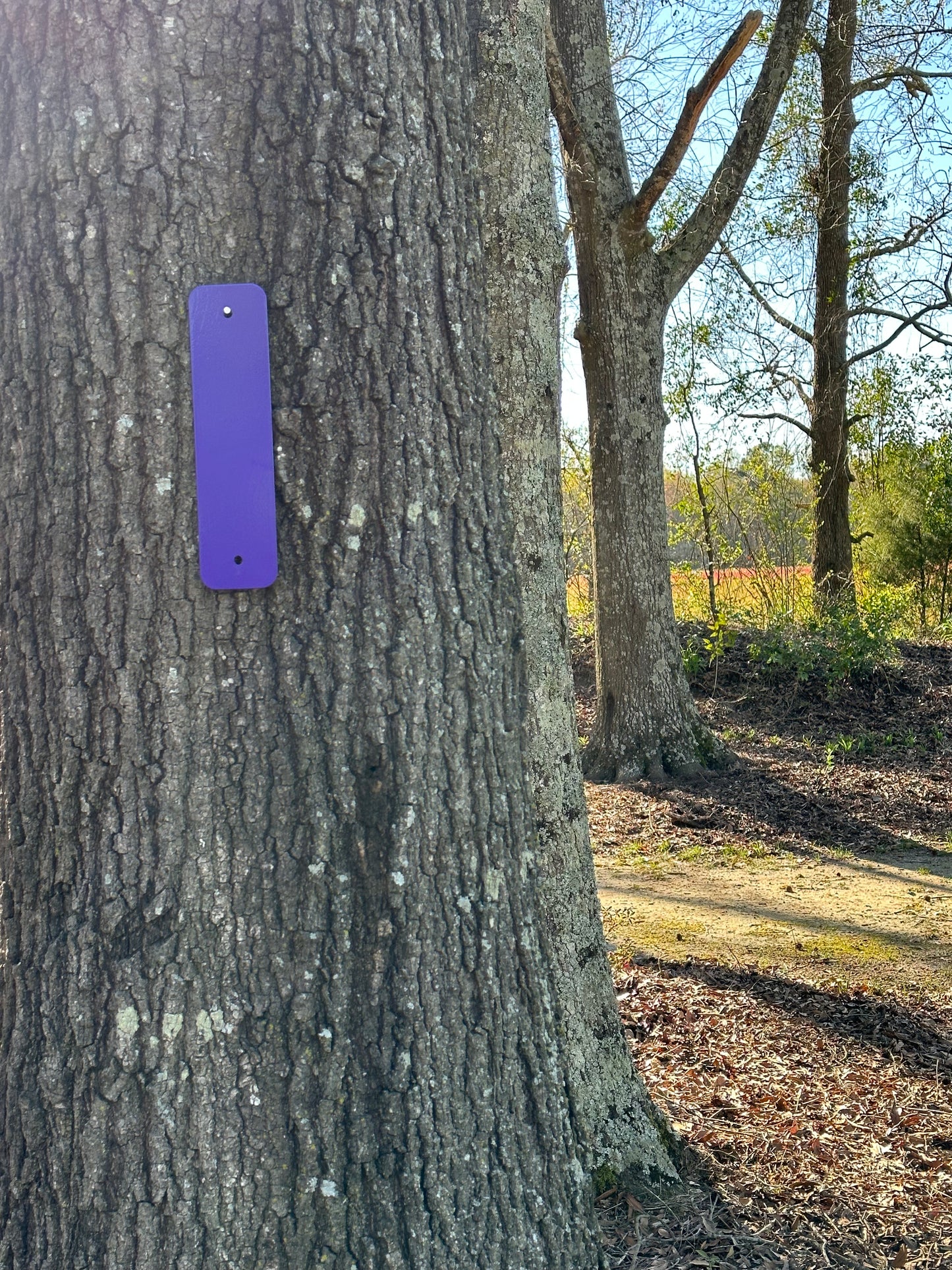 NO Trespassing! Purple State Laws - Markers