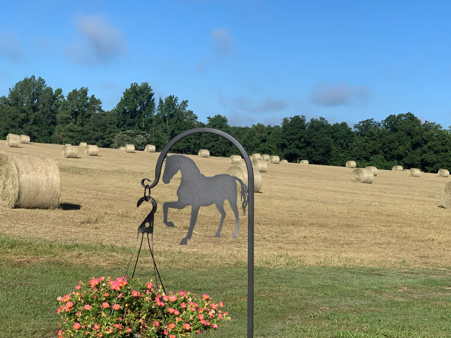 Horse Shepherd Hook Your Color and Base/Display Choice