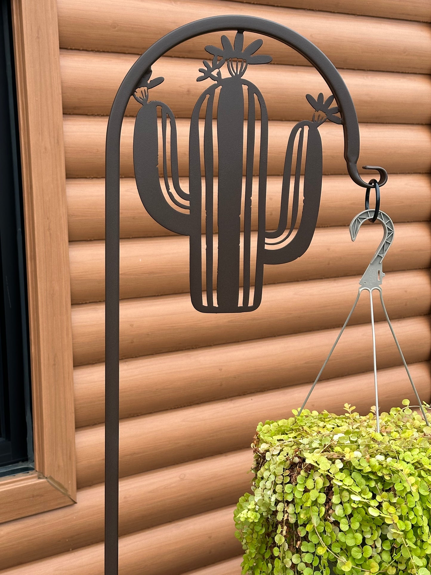 Cactus Shepherd Hook- Your color choice-four display options